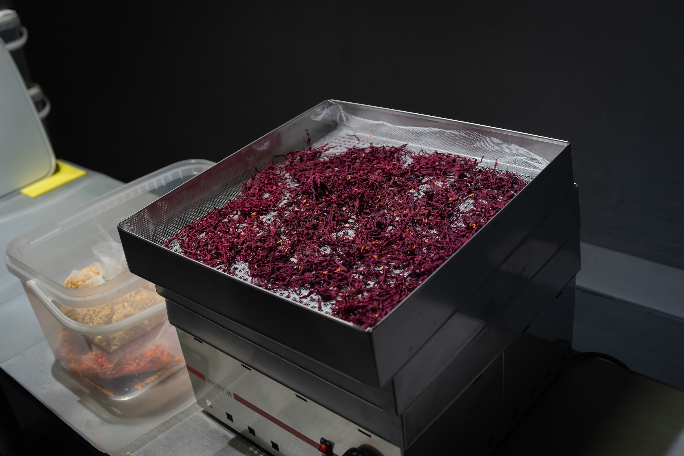 container with chopped dried vegetables for borshch