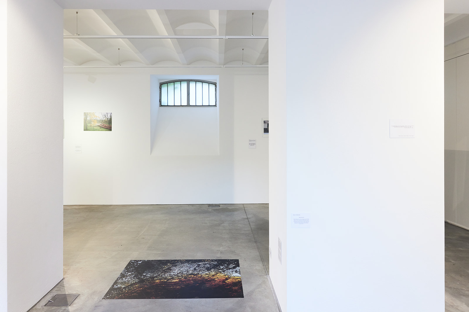 Pictures on the walls and on the floor of the gallery
