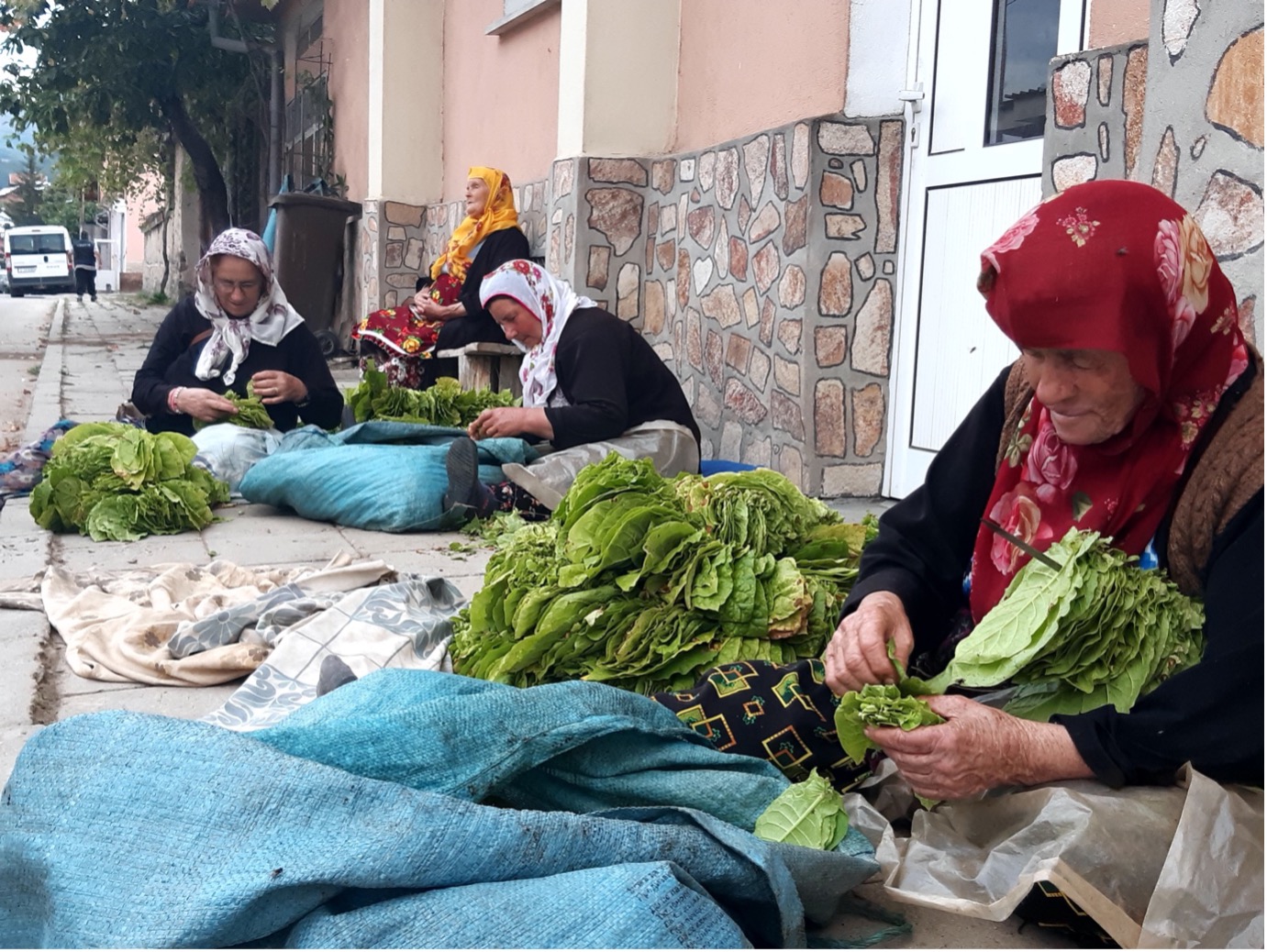 Tobacco growers in Kornitsa. Photograph by Kapka Kassabova