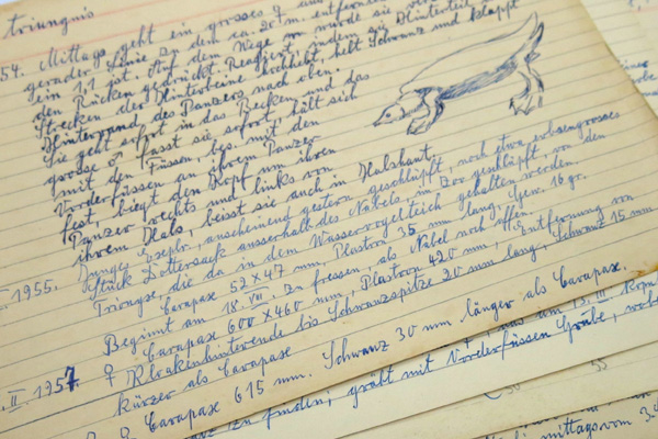 German or in German? On the Preservation of Literary and Scholarly Collections in Israel