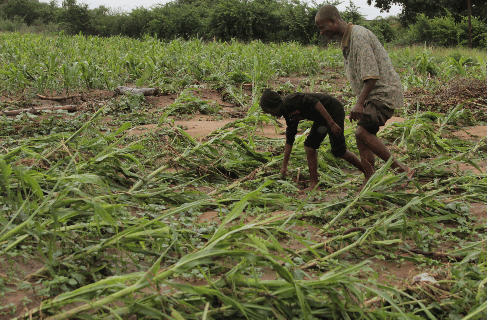 Farmers inspect their crop after the area was hit by cyclone Idai in Chimanimani, Manicaland Province, Zimbabwe, March 17, 2019.