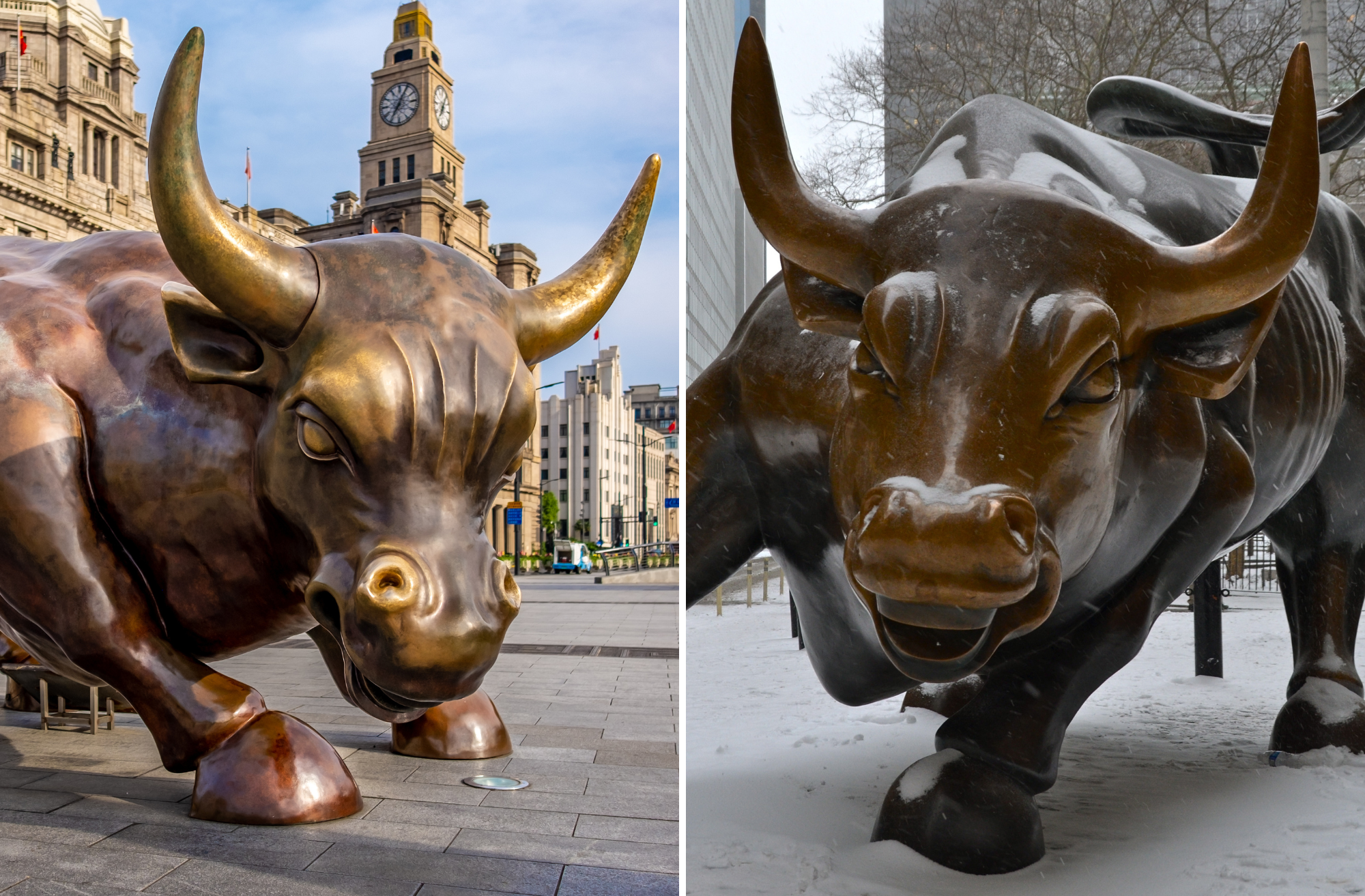 Bund Bull in Shanghai / Charging Bull in New York