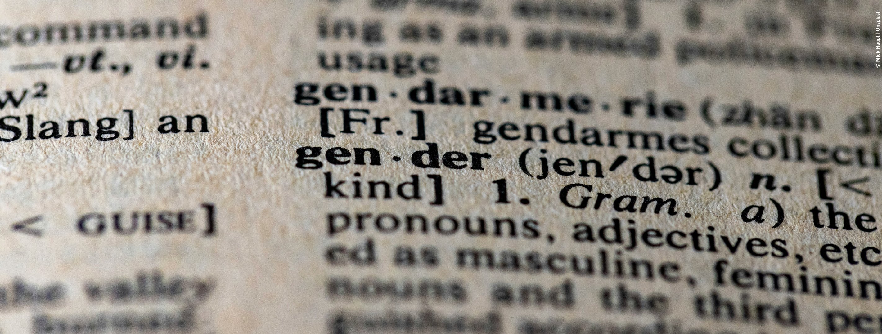 The word gender in a dictionary
