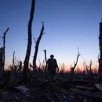 A soldier walks against the background of a burnt-out forest