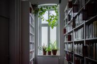 a dimly lit corridor library view towards the bright window with plants on the windowsill